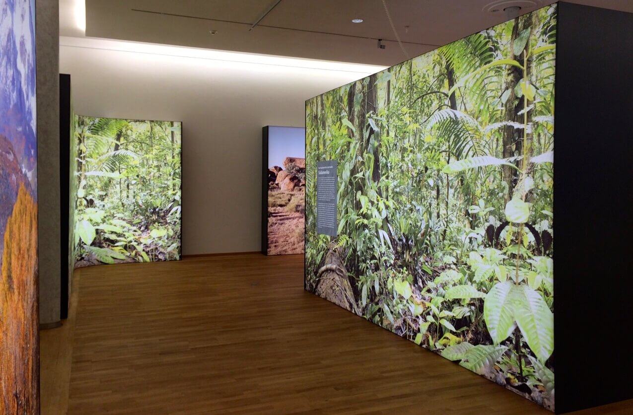 Backlit LED lightbox with dye-sublimation tension fabric and SEG finishing by Northern Flags