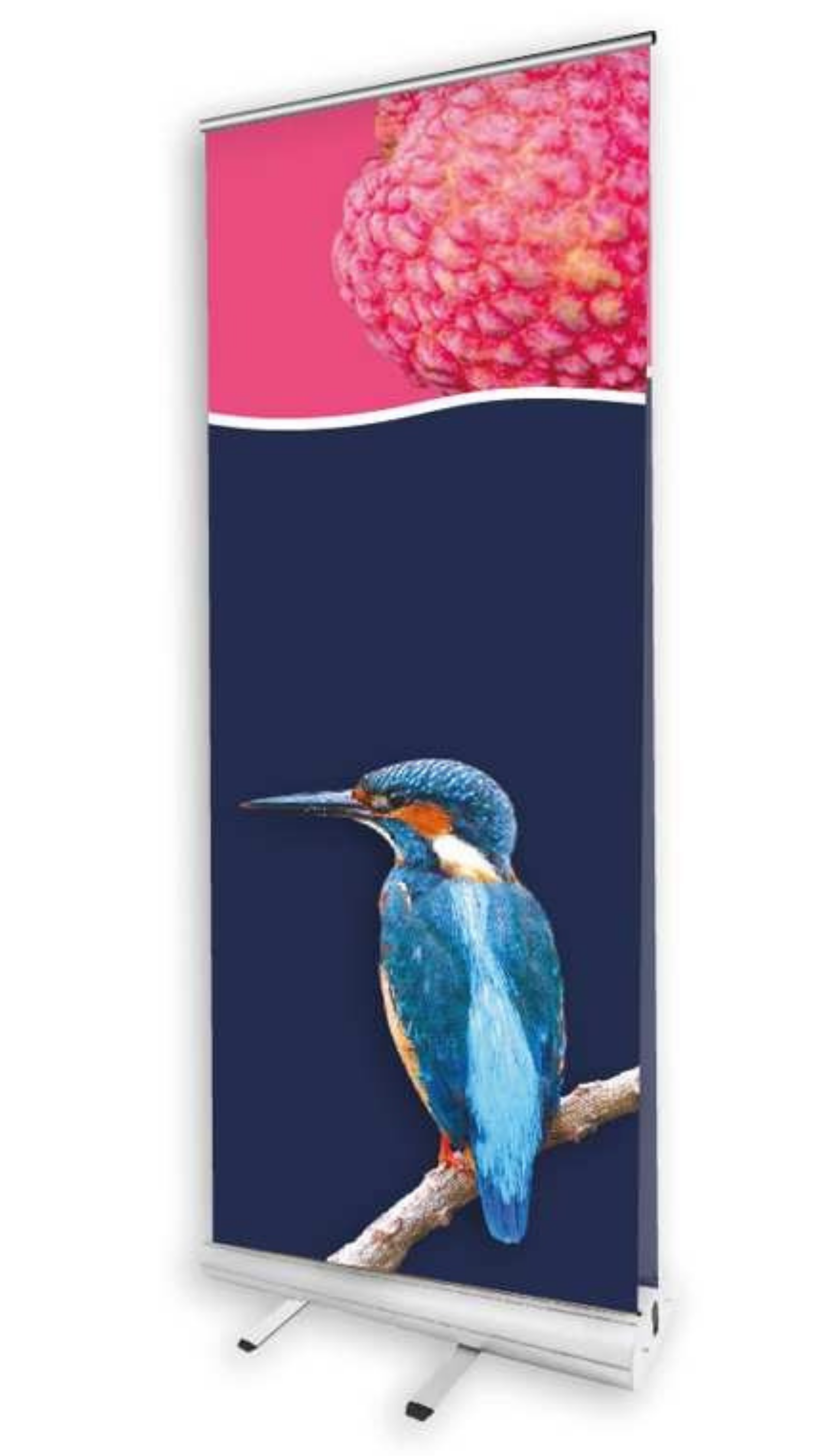 Exhibition Printing Services - Double-sised Roller Banner