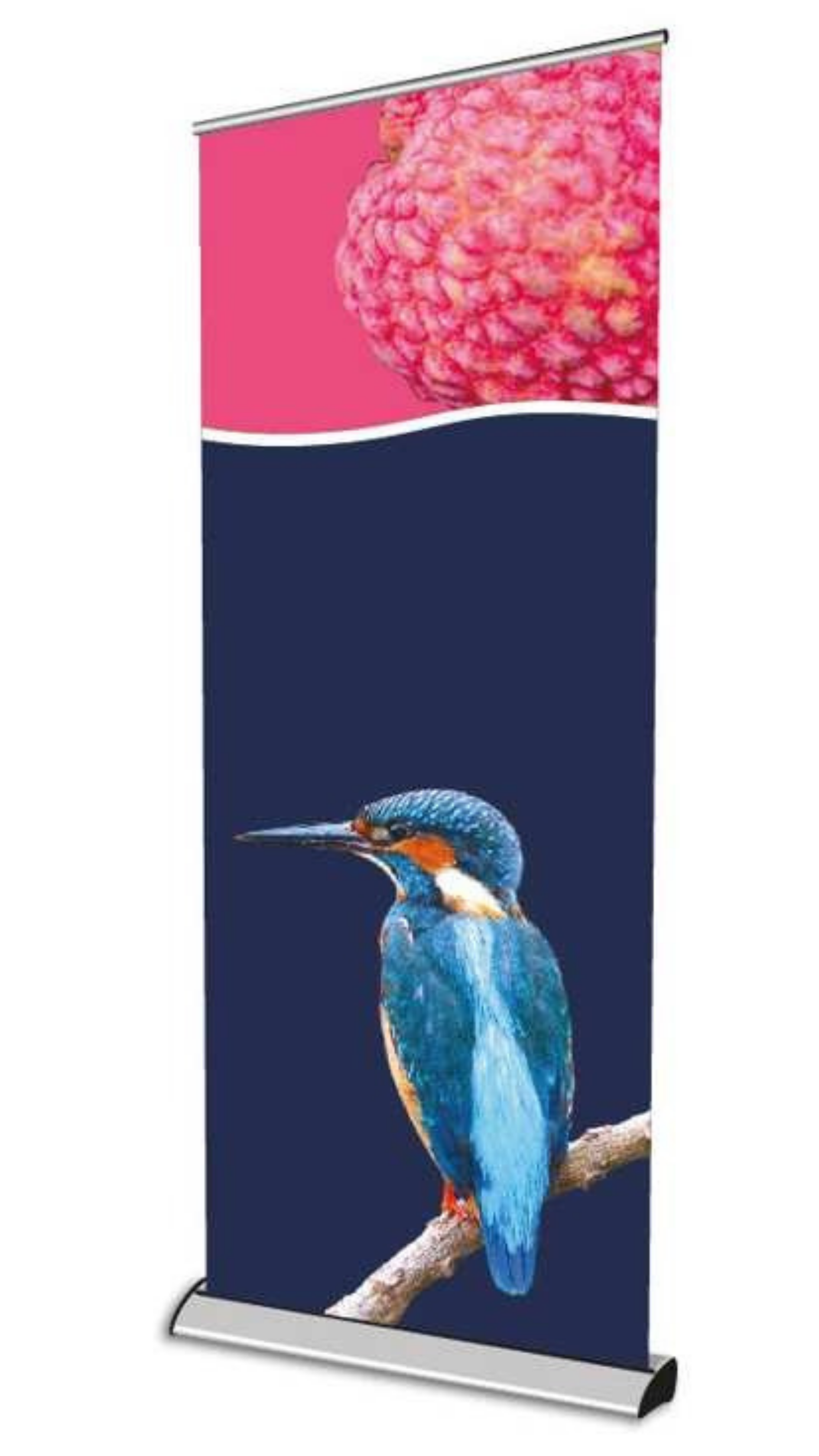 Exhibition Printing Services - Premium Roller Banner