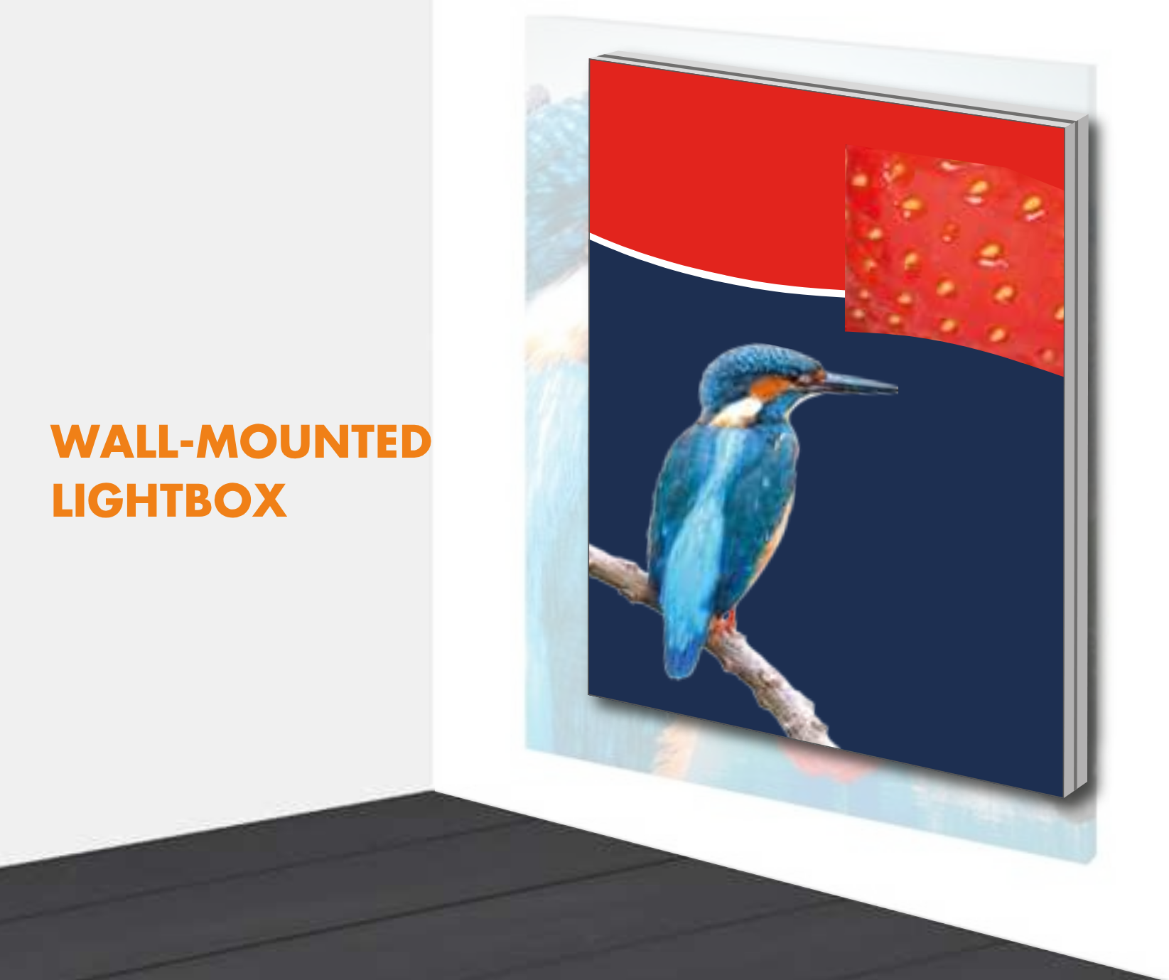 Wall Mounted Lightboxes